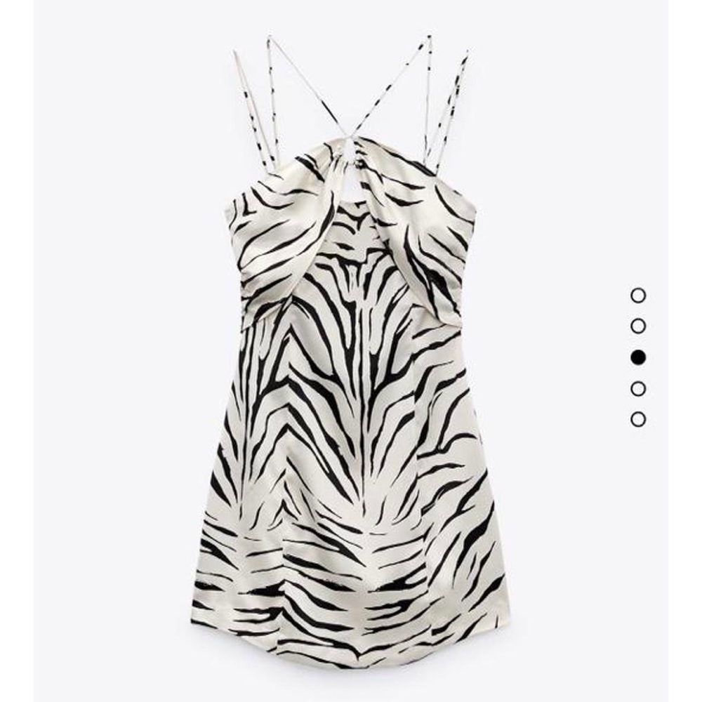 ZARA Zebra Print Satin Mini Dress
